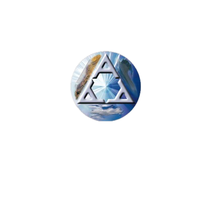 Logotipo de Agencia Aduanera de América